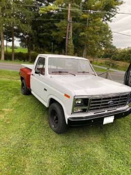 1982 Ford F-100 for sale at Classic Car Deals in Cadillac MI