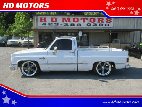 1987 Chevrolet R/V 10 Series for sale at HD MOTORS in Kingsport TN