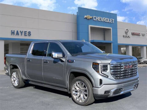 2024 GMC Sierra 1500 for sale at HAYES CHEVROLET Buick GMC Cadillac Inc in Alto GA