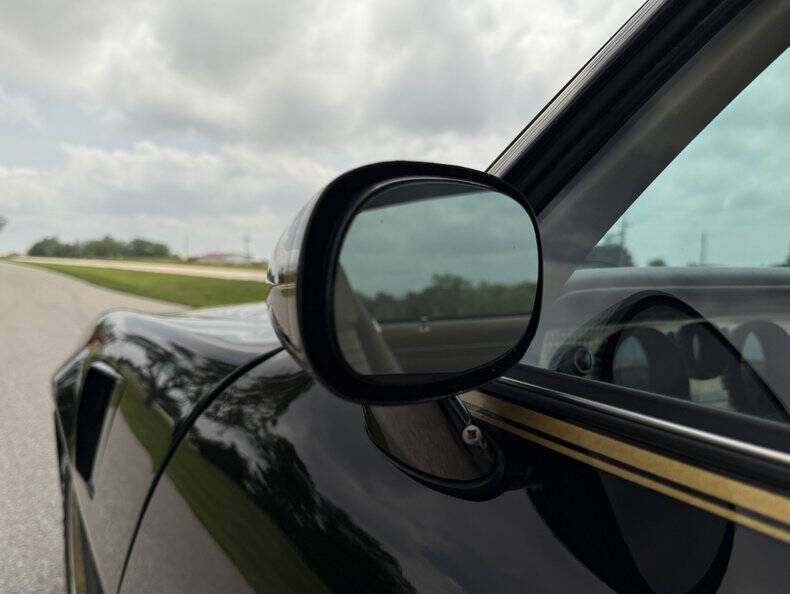 1981 Pontiac Firebird Trans Am