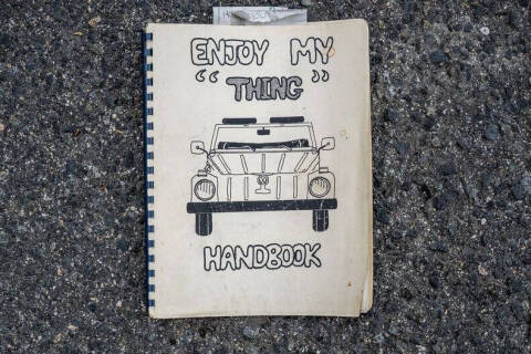 1973 Volkswagen Thing