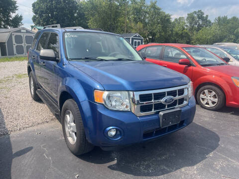 2008 Ford Escape for sale at HEDGES USED CARS in Carleton MI