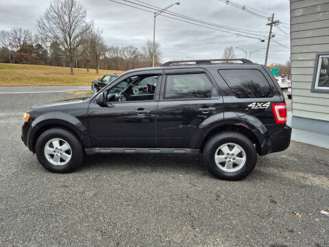 2011 Ford Escape XLT