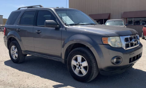 2009 Ford Escape XLT