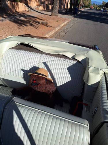 1968 Oldsmobile Cutlass