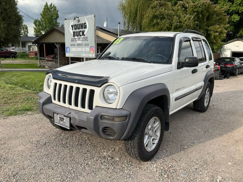 2003 Jeep Liberty for sale at Young Buck Automotive in Rexburg ID