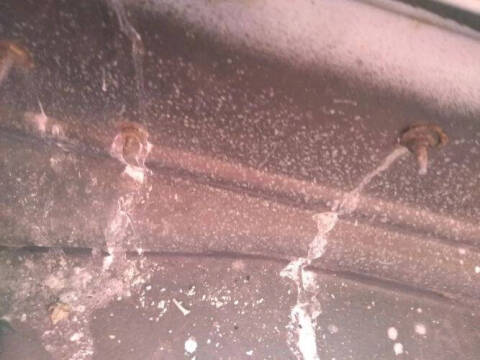 1966 Chevrolet Chevelle