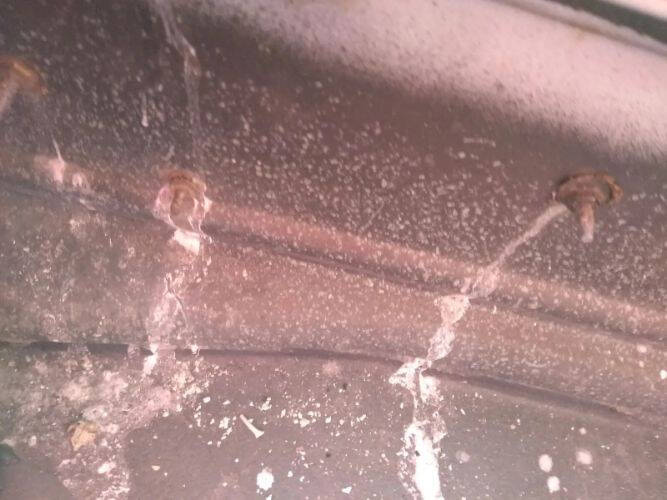 1966 Chevrolet Chevelle