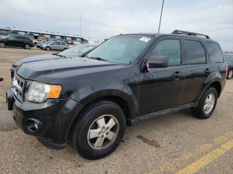 2011 Ford Escape XLT