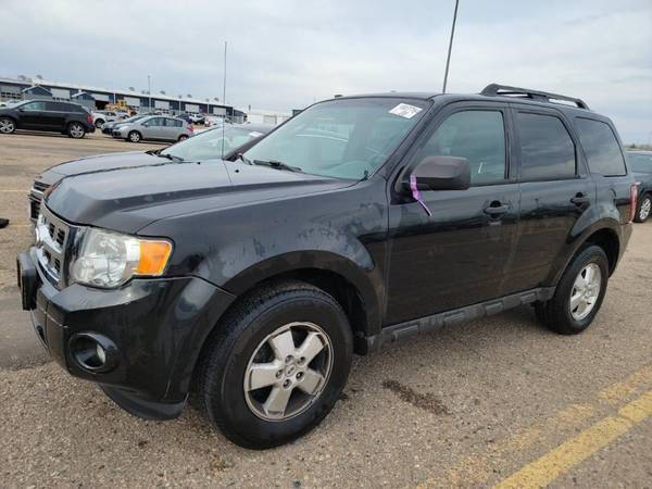 2011 Ford Escape XLT