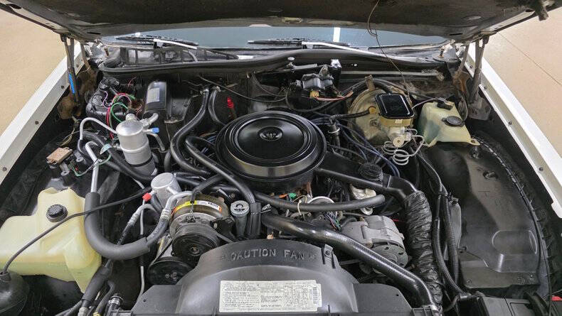 1984 Buick Electra Park Avenue