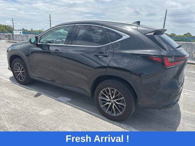 2024 Lexus NX 250