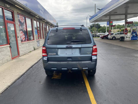 2011 Ford Escape XLT