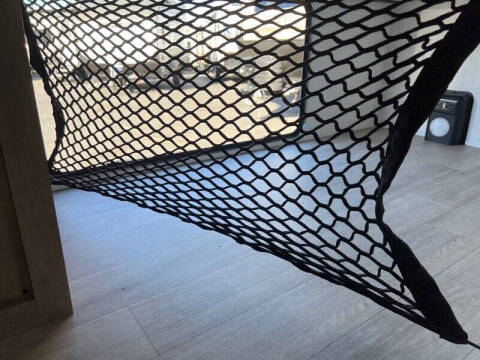 2025 Palomino Solaire