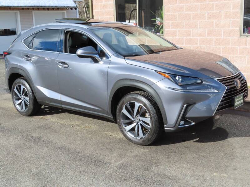 2020 Lexus NX 300 for sale at Advantage Automobile Investments, Inc in Littleton MA