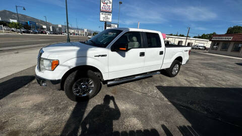 2010 Ford F-150 for sale at SPEEDY AUTO SALES Inc in Salida CO