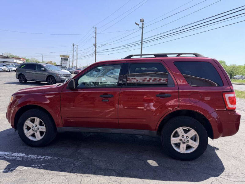 2010 Ford Escape XLT