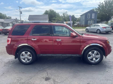 2011 Ford Escape Limited