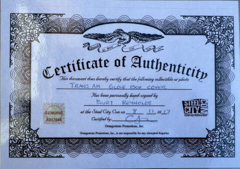 1981 Pontiac Firebird Trans Am