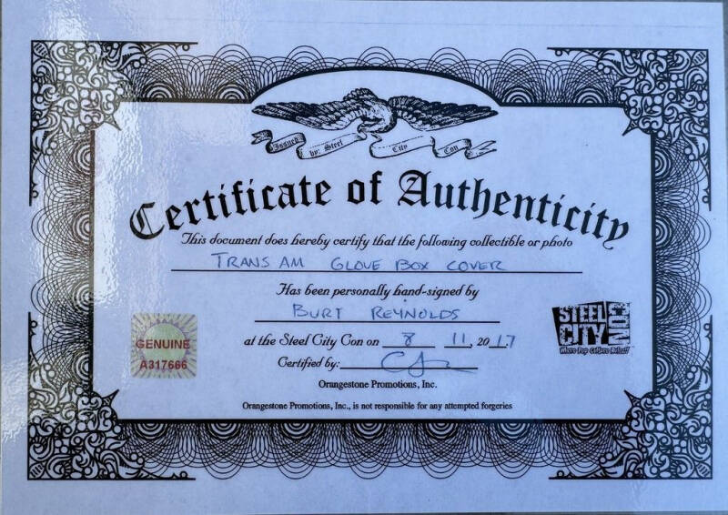 1981 Pontiac Firebird Trans Am