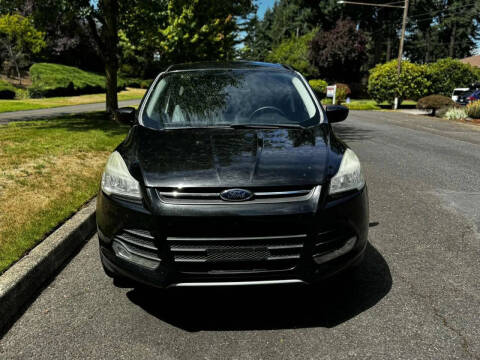 2013 Ford Escape SE