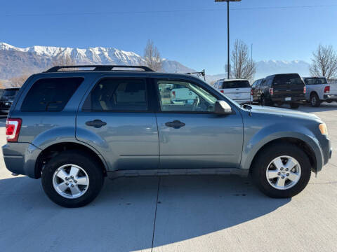 2011 Ford Escape XLT