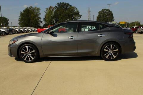 2021 Nissan Maxima for sale at Billy Ray Taylor Auto Sales in Cullman AL