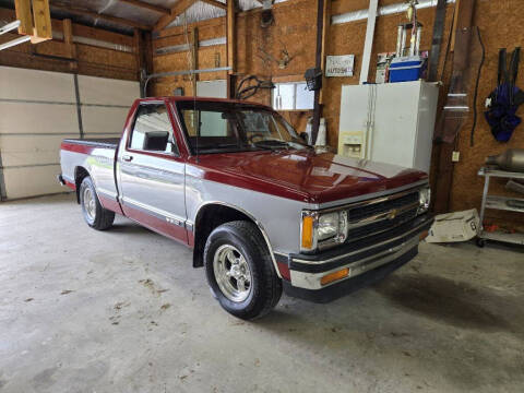 1991 Chevrolet S-10 for sale at McEwen Auto Sales in Anabel MO