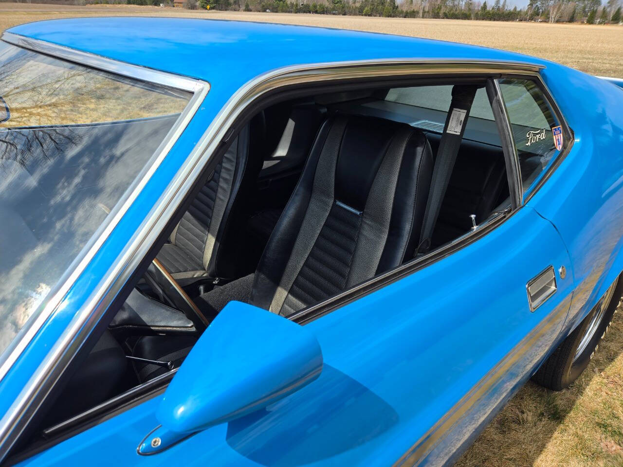 1971 Ford Mustang 135