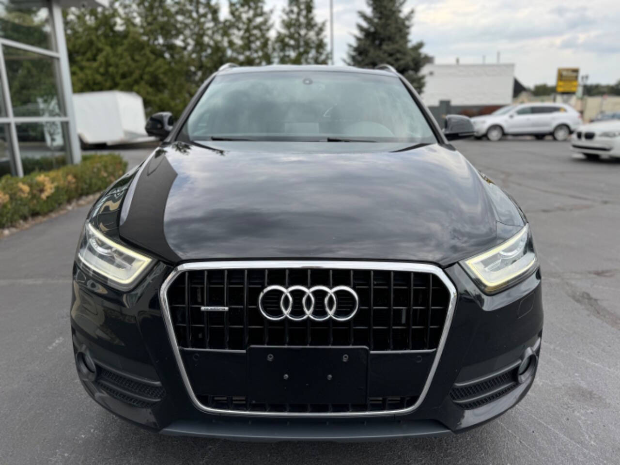 2015 Audi Q3 for sale at Opus Motorcars in Utica, MI