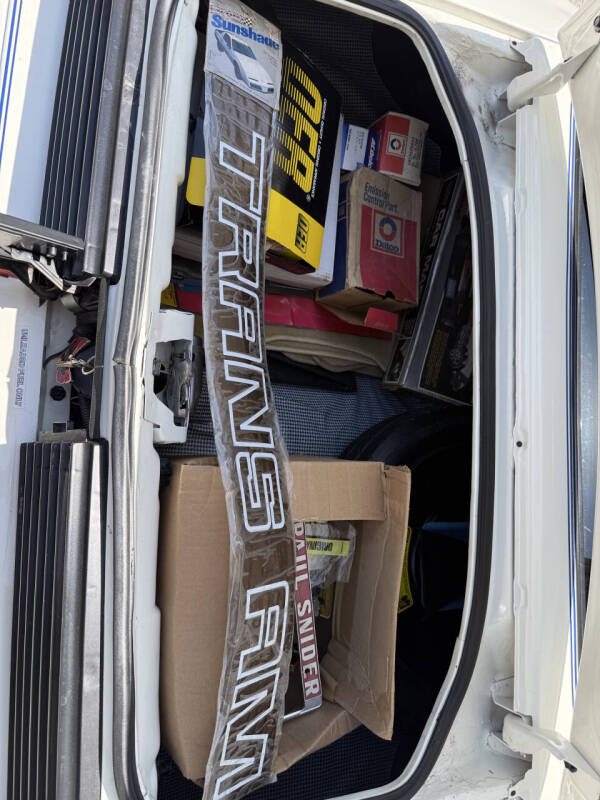 1981 Pontiac Firebird Trans Am