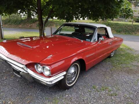 1964 Ford Thunderbird for sale at Black Tie Classics in Stratford NJ