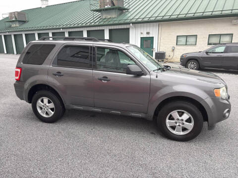 2010 Ford Escape XLT