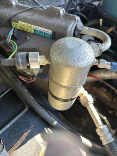 1981 Chevrolet C20