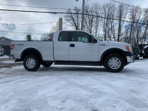 2010 Ford F-150 for sale at MEDINA WHOLESALE LLC in Wadsworth OH