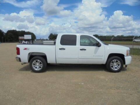 2009 Chevrolet Silverado Truck for sale at Vehicle Network - Dick Smith Equipment in Goldsboro NC