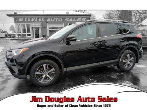 2018 Toyota RAV4 for sale at Jim Douglas Auto Sales in Pontiac MI