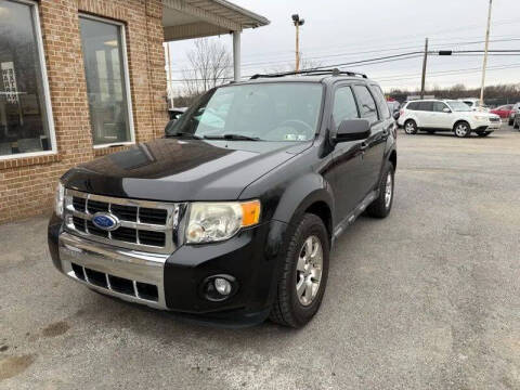 2011 Ford Escape Limited