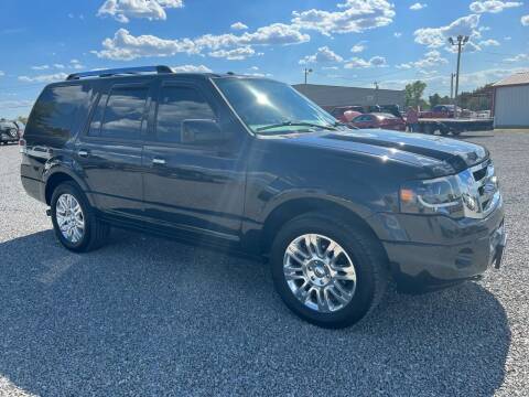2014 Ford Expedition for sale at RAYMOND TAYLOR AUTO SALES in Fort Gibson OK