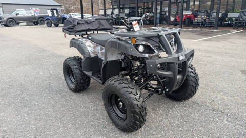 2025 TrailMaster 200 Utility