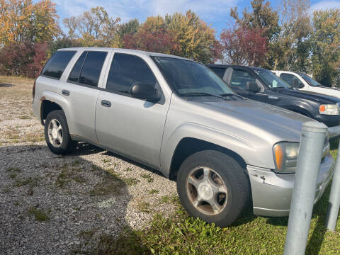 2007 Chevrolet TrailBlazer for sale at HEDGES USED CARS in Carleton MI