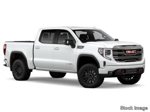 2022 GMC Sierra 1500 for sale at Greenway Automotive GMC in Morris IL