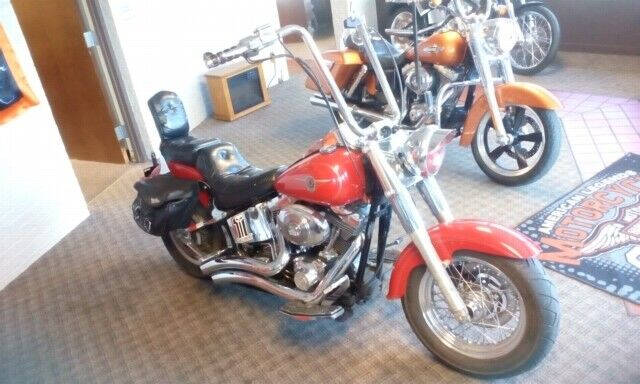 2002 Harley-Davidson FLSTFI FatBoy