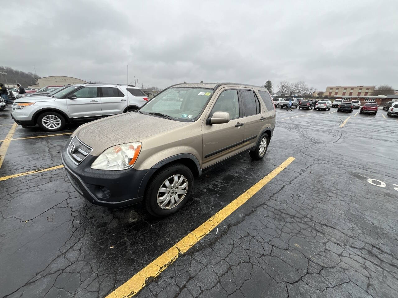 2006 Honda CR-V EX photo 5