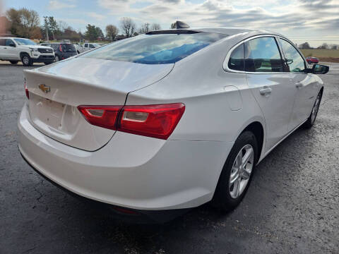 2019 Chevrolet Malibu LS Fleet