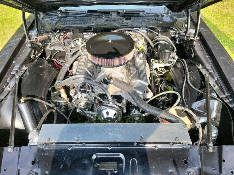 1981 Pontiac Firebird