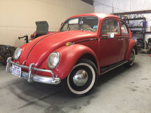 1964 Volkswagen Beetle for sale at Man Cave Motorsports, LLC in Granbury TX