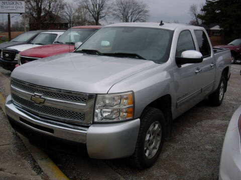 2010 Chevrolet Silverado 1500 for sale at Greg Vallett Auto Sales in Steeleville IL