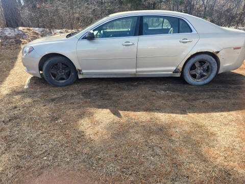 2009 Chevrolet Malibu for sale at Expressway Auto Auction in Howard City MI