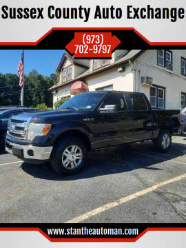 2013 Ford F-150 for sale at Sussex County Auto Exchange in Wantage NJ